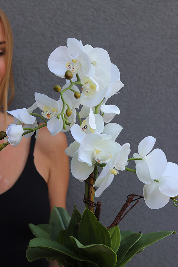 Gretiena, sztuczny storczyk w doniczce ombre	