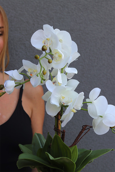 Gretiena, sztuczny storczyk w doniczce ombre	