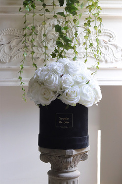 flowerbox na prezent Jubileo 40 Białych Róż w welurowym pudełku, wys.35cm