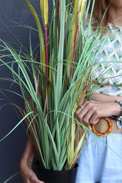  sztuczna trawa Pióropusze, beż, wys.120cm