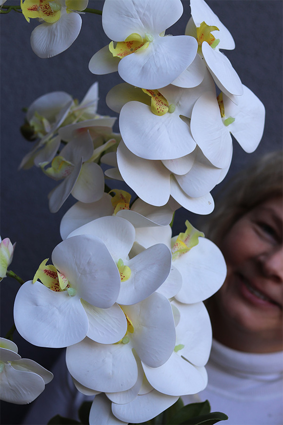 Nerulena, gumowy storczyk w rustykalnej donicy