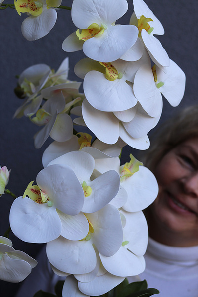 Nerulena, gumowy storczyk w rustykalnej donicy