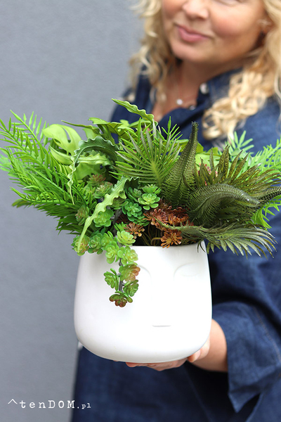 Green Face, zielona kompozycja w donicy z twarzą