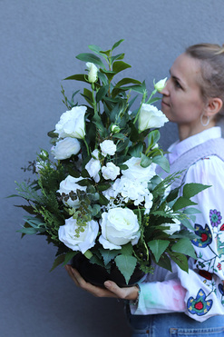 Manifista, smukła kompozycja nagrobna w misie, wys.55cm