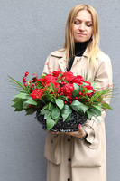 Bordosena, kompozycja nagrobna w misie