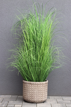 Boho Medila, wysokiej jakości sztuczna trawa w donicy, wys.135cm