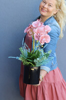 Cherry Me, gumowy storczyk w czarnej donicy