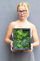 Sukulenty Black Frame, czarna jednostronna rama