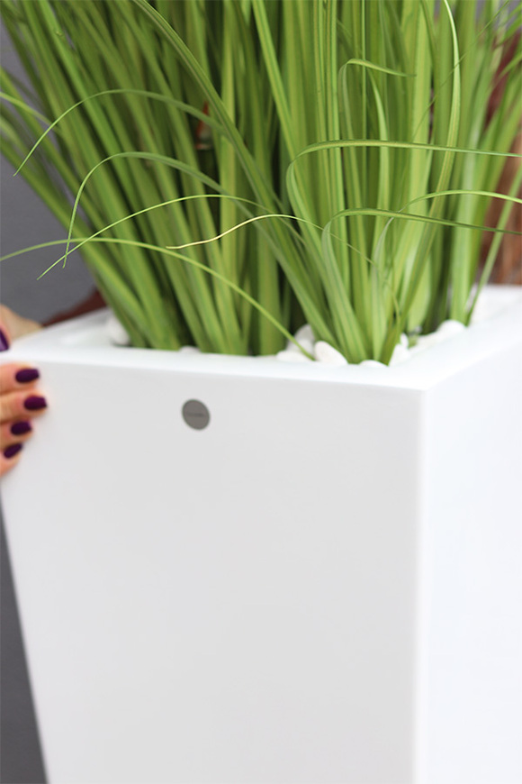 Delano, kompozycja w białej donicy z trawami