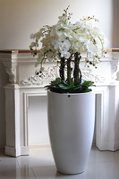 Grande Fiberglass Fenice 2, efektowny storczyk w białej donicy z fiberglass