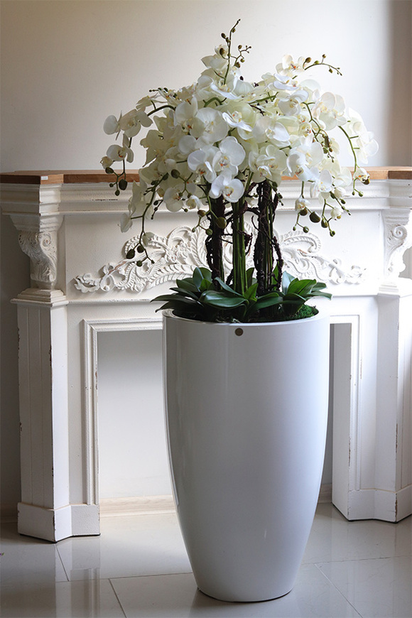 Grande Fiberglass Fenice 2, efektowny storczyk w białej donicy z fiberglass