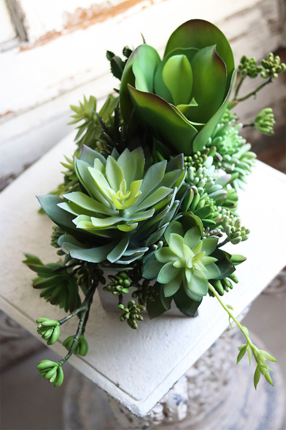 Anrato Greena, kompozycja z sukulentami w betonowej donicy, wys.28cm 