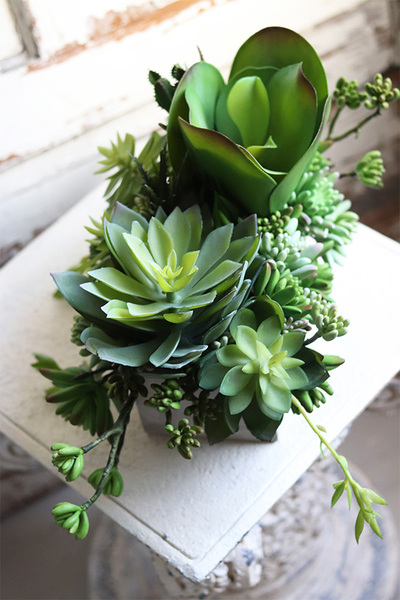 Anrato Greena, kompozycja z sukulentami w betonowej donicy, wys.28cm