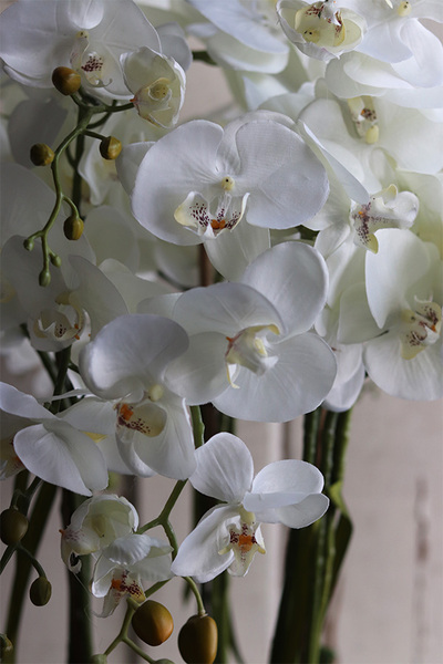 Fiberglass Grande Baloo, sztuczny storczyk w białej donicy, wys.100cm