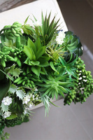 Laos Greeno, bogata kompozycja Sukulenty w lustrzanej donicy, wym.28x46cm 