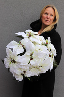 święta_Gwiazda_Betlejemska_Biała