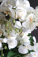 Golden Moment, sztuczny storczyk w złotej donicy