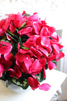 Cyklameny Silver, kompozycja kwiatowa w srebrnej kuli