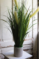 Jedylia Casa Creme, trawa z klosami w donicy od Belldeco, wys.93cm