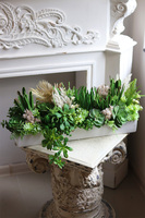 Beige Longia, kompozycja sukulenty w długiej donicy