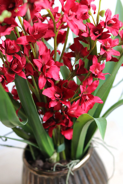 Red Thai, sztuczny storczyk w donicy