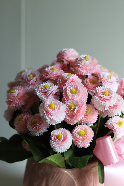 Stokrotki Pink, wiosenna kompozycja kwiatowa w doniczce