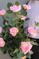 Róża Pinky, sztuczna roślina w doniczce
