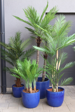 Ares Blue, sztuczne palmy w ceramicznej donicy, kpl.4szt