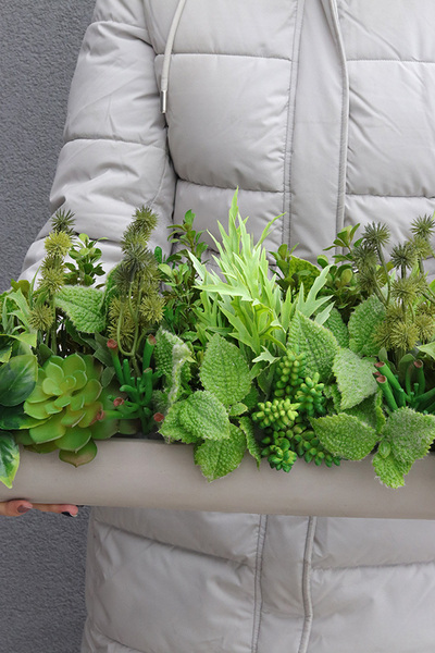 Hektor Modenato 2, kompozycja sukulenty w długiej donicy