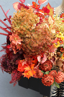 Septiembre Saute, jesienna dekoracja do twojej donicy