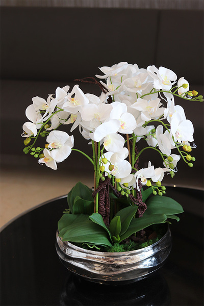 Hotels Deluxe, gumowy storczyk w srebrnej misie