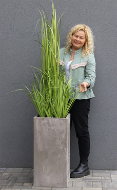 Concrete Modern Tall, wysokiej jakości sztuczna trawa w betonowej donicy, wys. 174cm