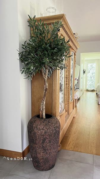 Oliwka Sirocco, sztuczne drzewko w osłonce