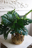 Monstera Gold, drzewko sztuczne w donicy