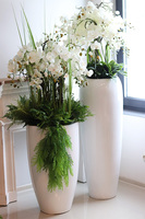 Fiberglass Grande Leucadio efektowny storczyk w białej donicy z fiberglass