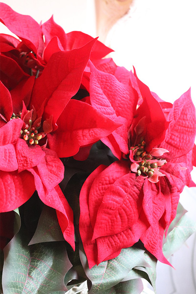 Gwiazda Betlejemska Reddis 2, wysokiej jakości sztuczna roślina