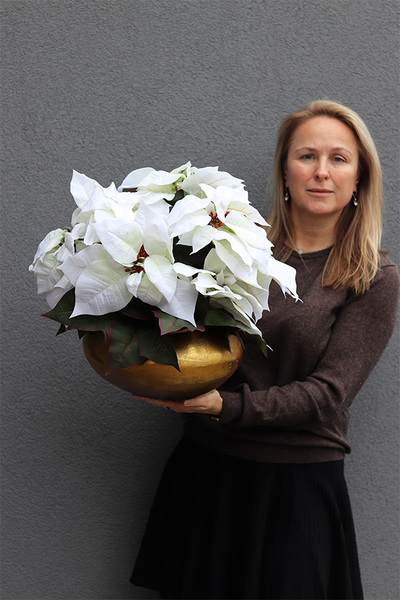 Gwiazda Betlejemska Goldenia, wysokiej jakości sztuczna roślina