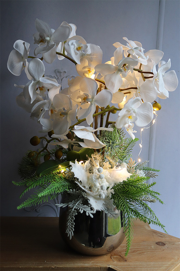 Biała Zima, elegancki storczyk zimowy