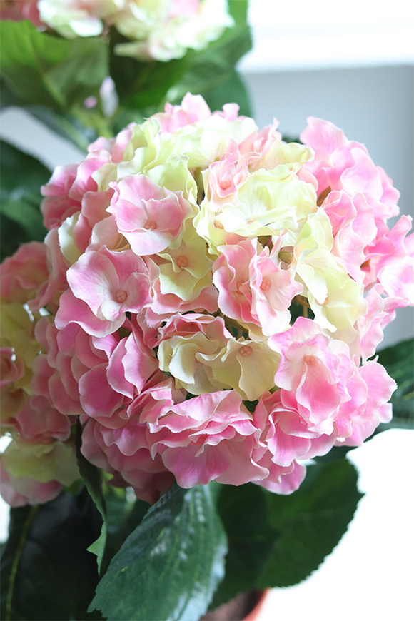 doniczkowa hortensja Cytrynowo-Różowa, wysokiej jakości sztuczne kwiaty