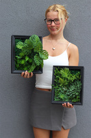 Sukulenty Black Frame, czarna jednostronna rama