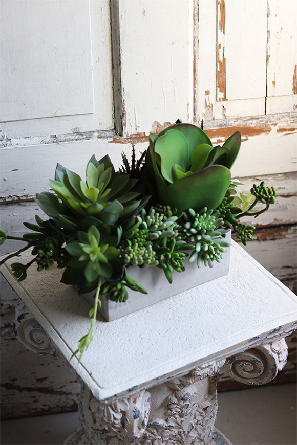 Anrato Greena, kompozycja z sukulentami w betonowej donicy, wys.28cm