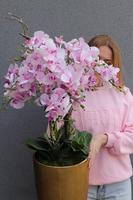 Pink Orchid Złota Bajka, sztuczny storczyk podłogowy