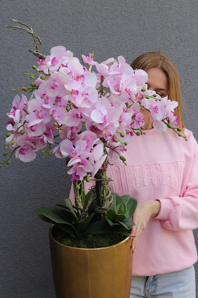 Pink Orchid Złota Bajka, sztuczny storczyk podłogowy