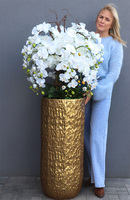 Golden Palace, wysoki storczyk podłogowy