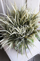 Bedrita Boho, kompozycja z traw w ozdobnej donicy, wys.50cm