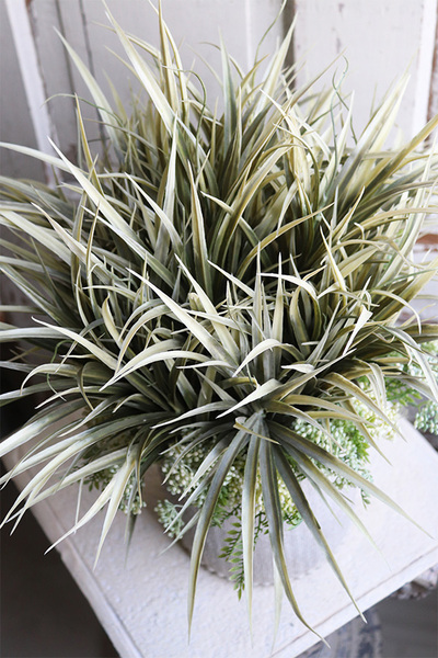 Bedrita Boho, kompozycja z traw w ozdobnej donicy, wys.50cm