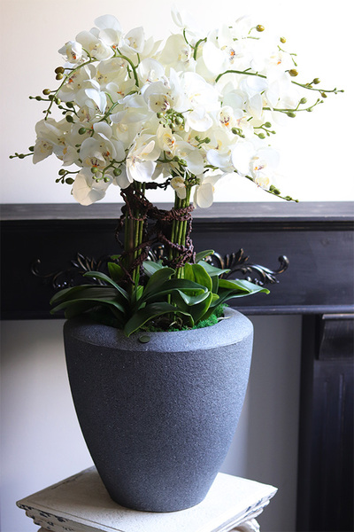 Grey House, sztuczny storczyk podłogowy