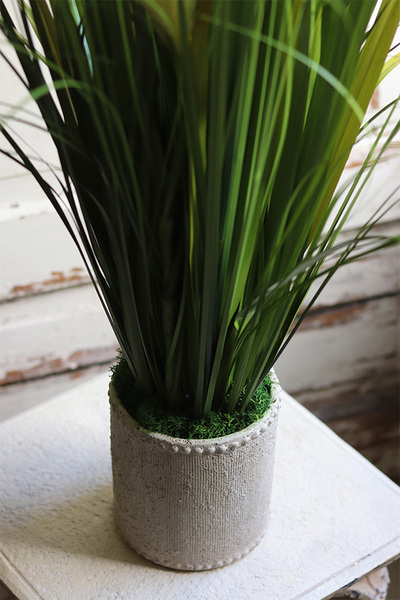 Jedylia Casa Creme, trawa z klosami w donicy od Belldeco, wys.93cm