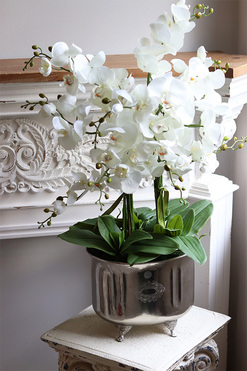 OD RĘKI Derino Deluxe, sztuczny storczyk w coolerze, wys.85cm 