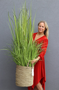 nowoczesna kompozycja ze sztucznej trawy Desireno A, wym.145cm